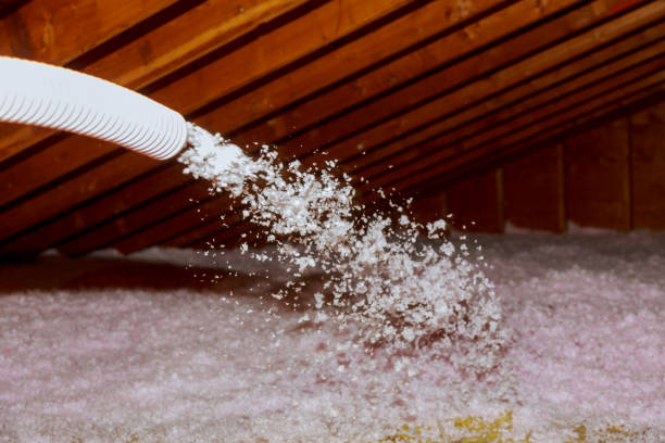 Best Insulation Maintenance and Repair in Williamsville, NY